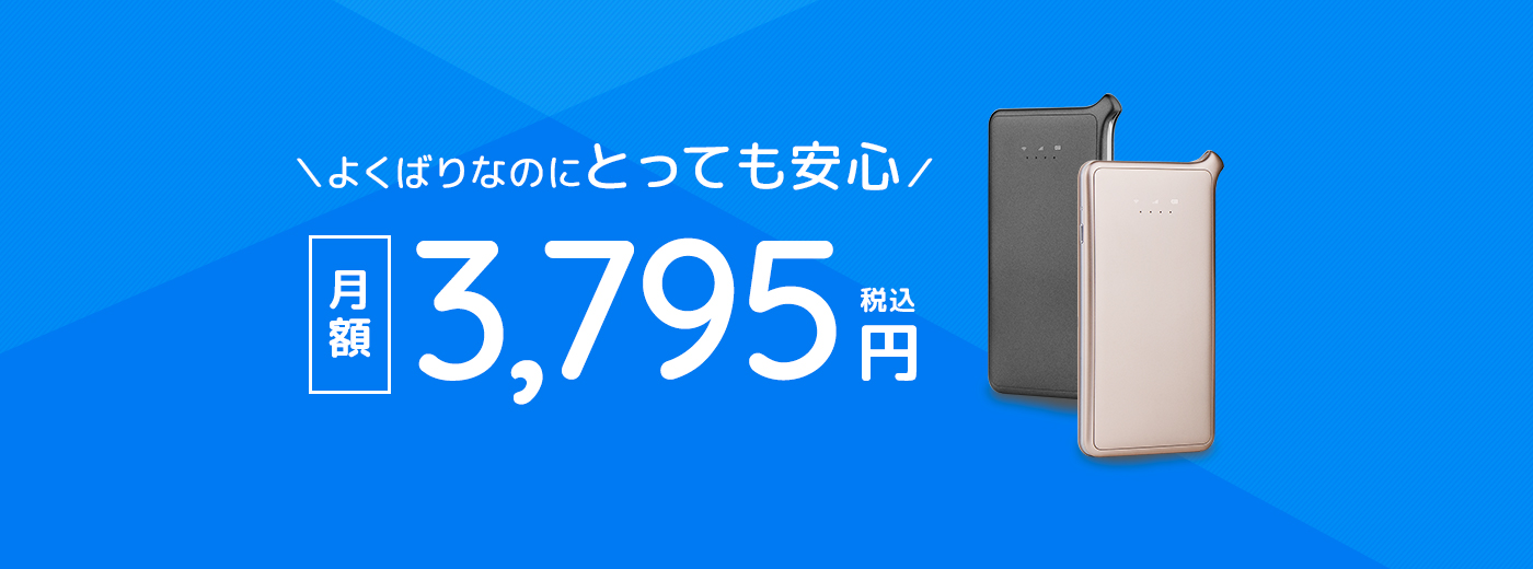 よくばりなのにとっても安心　月額3450円