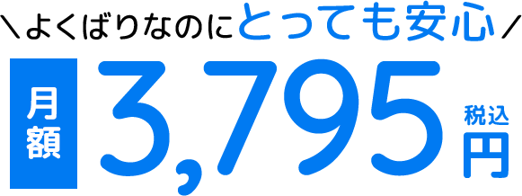 よくばりなのにとっても安心 月額3,450円（税別）